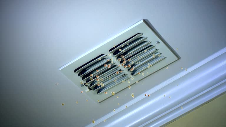 Best Affordable Air Duct Cleaning  in Crockett, TX