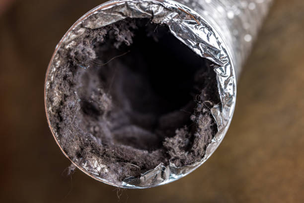 Best HVAC System Cleaning  in Crockett, TX